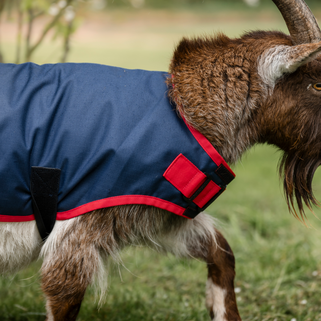Horseware Ireland 0g Goat Coat