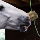 Silvermoor Swingers Bumper Pack