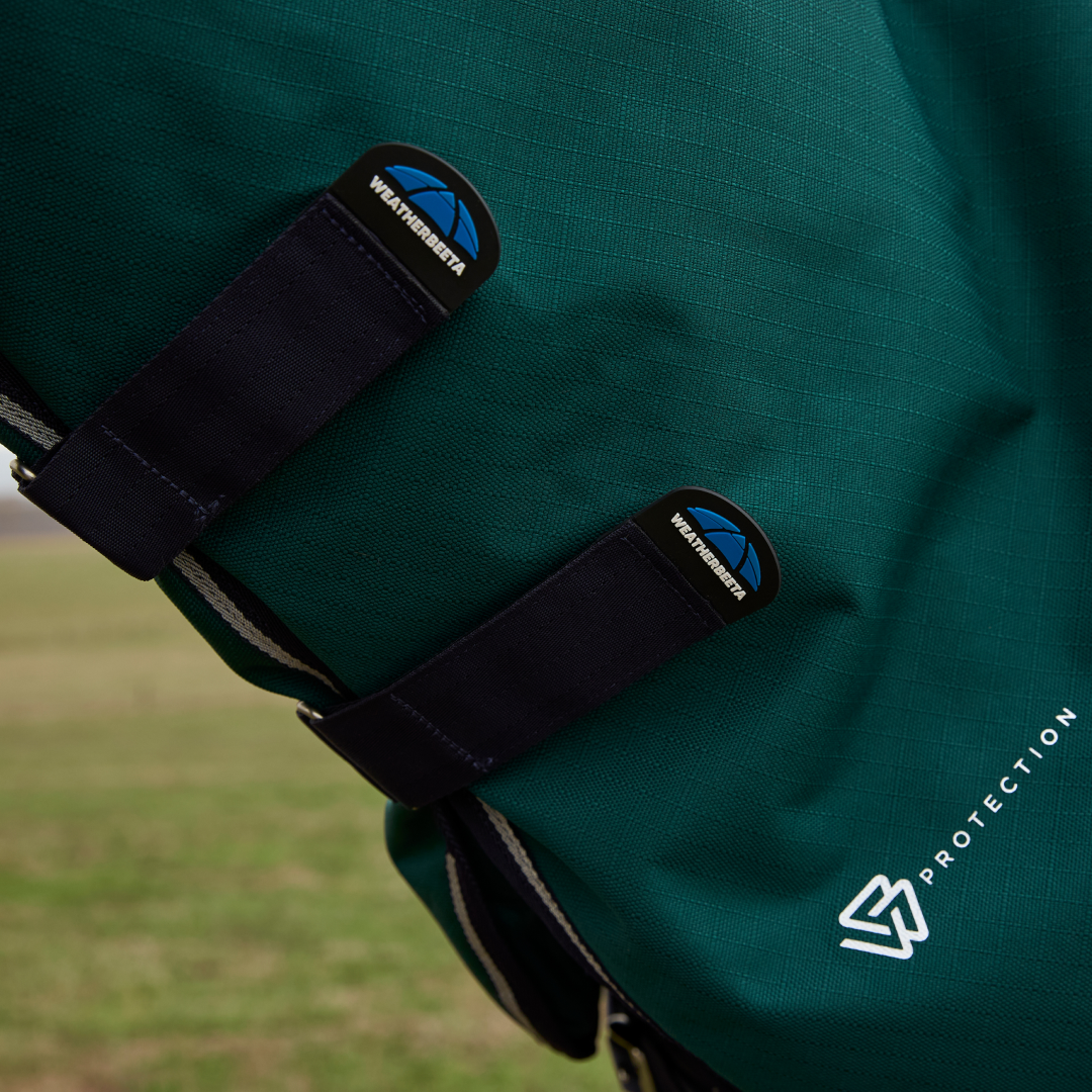 Weatherbeeta Comfitec Plus Dynamic 220G Detach-A-Neck Turnout #colour_forest-green-navy