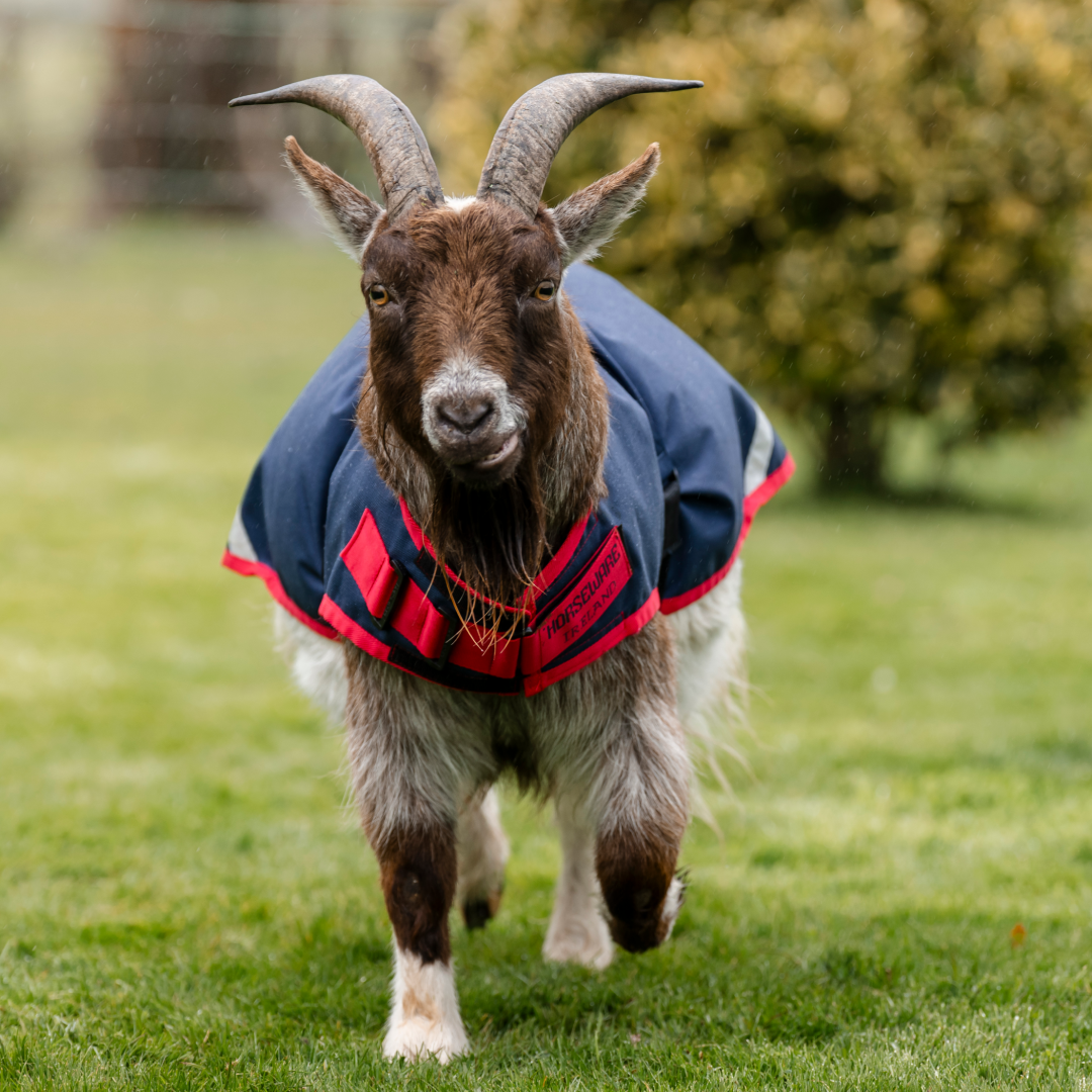 Horseware Ireland 0g Goat Coat
