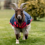 Horseware Ireland 0g Goat Coat