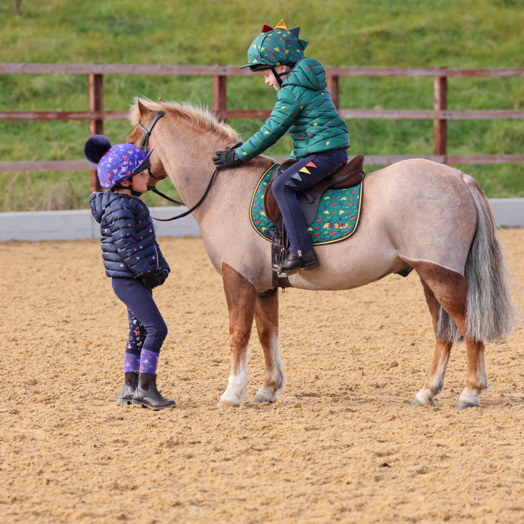 Shires Tikaboo Saddle Pad #colour_dinosaur