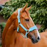 Horseware Ireland Signature Grooming Headcollar #colour_blue-haze