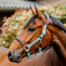 Horseware Ireland Signature Competition Headcollar #colour_brown-blue-haze