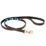 Weatherbeeta Polo Leather Dog Lead #colour_cowdray-brown-blue-blue