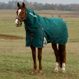 Weatherbeeta Comfitec Plus Dynamic 220G Detach-A-Neck Turnout #colour_forest-green-navy