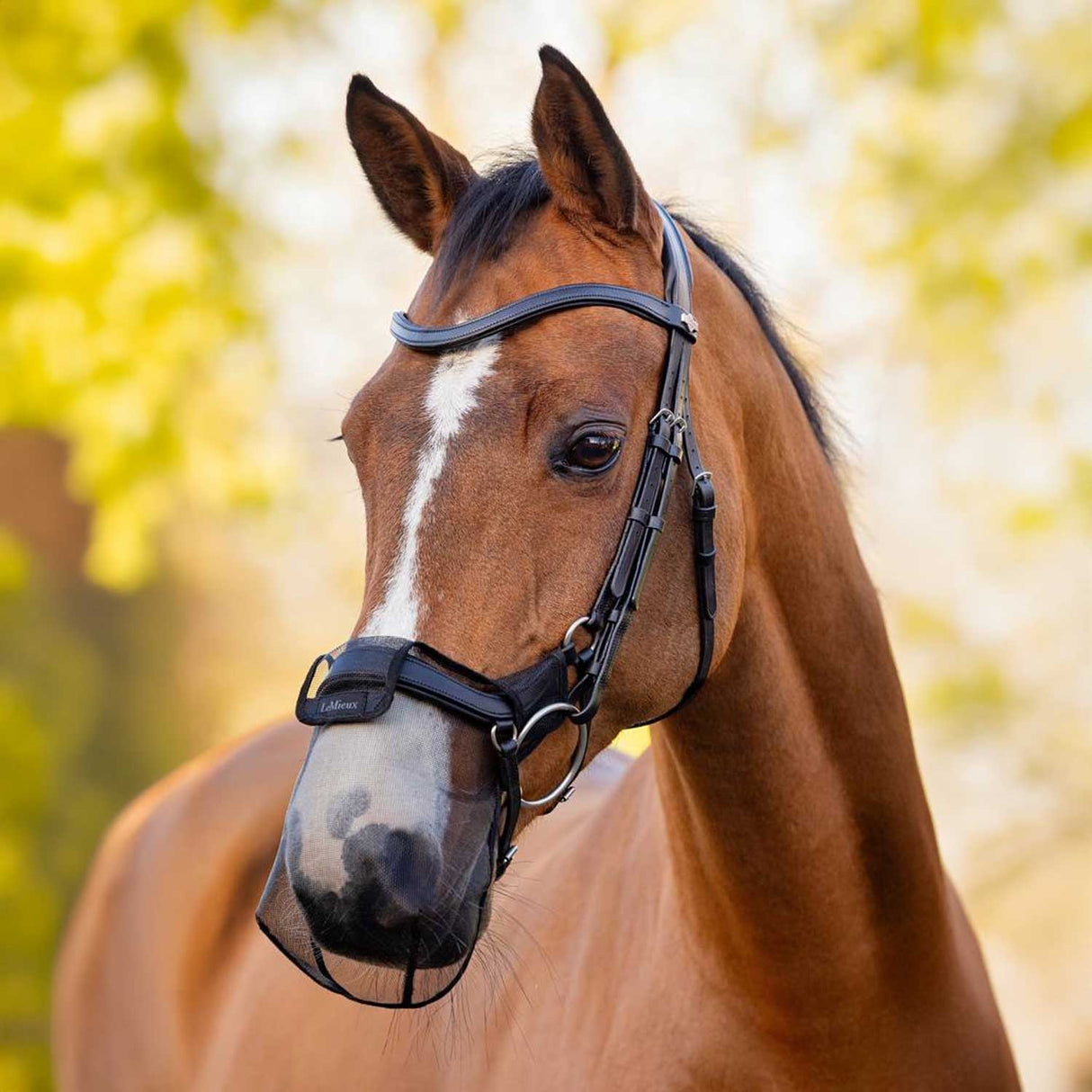 LeMieux Comfort Shield Drop Nose Filter 2Pk Black