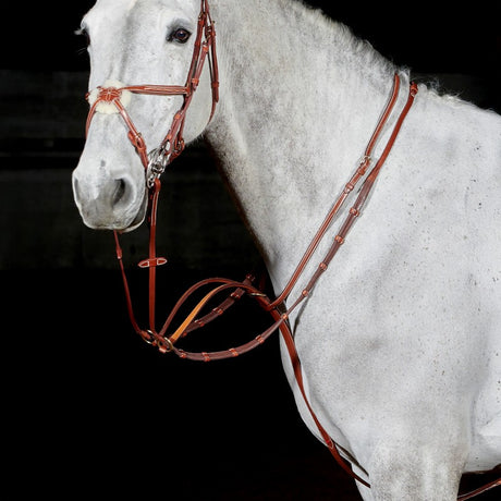 Whitaker Valencia Luxury Martingale #colour_tan