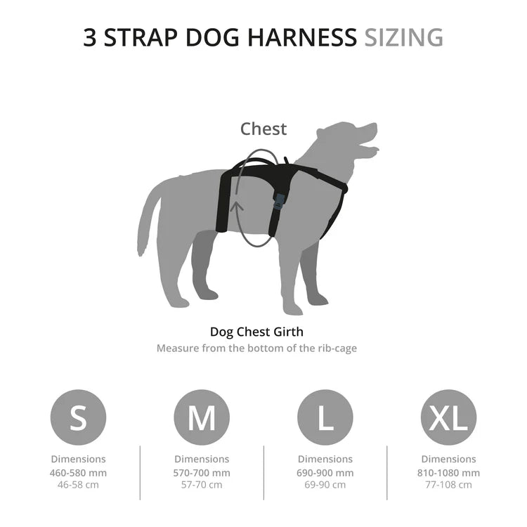 Mountain Paws 3-Strap Dog Harness 
