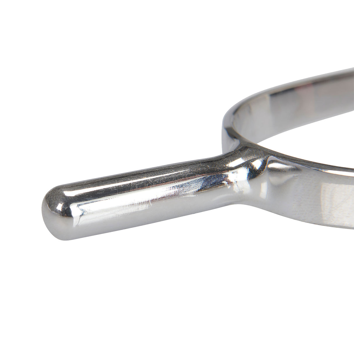 Equestro Prince Of Wales Spurs