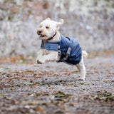Horseware Ireland Ionic 50g Therapy Dog Coat #colour_imperial-blue-silver-navy