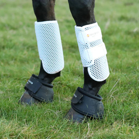 도달에 도달 부츠의 평형 트리 존