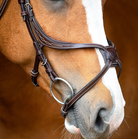 Montar Lyon Fig-8 Organic Tanned Noseband #colour_brown