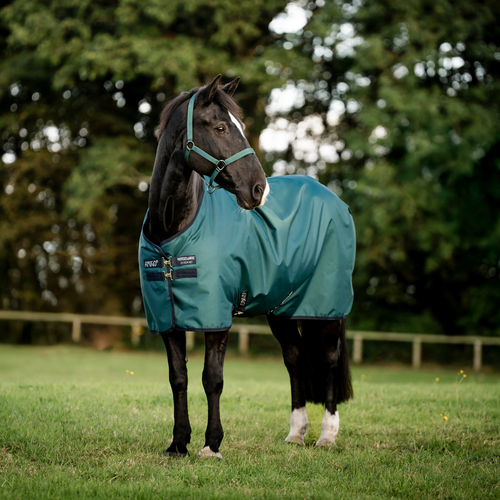 Horseware Ireland Amigo Ripstop 900D 200g Turnout Rug #colour_dynasty-green-navy-silver