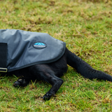 Weatherbeeta Comfitec Classic Waterproof Dog Coat #colour_grey