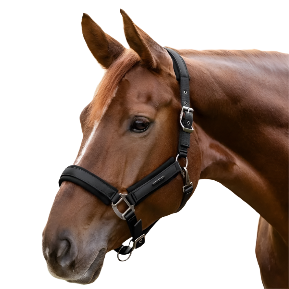 Waldhausen Soft Touch Halter #colour_black