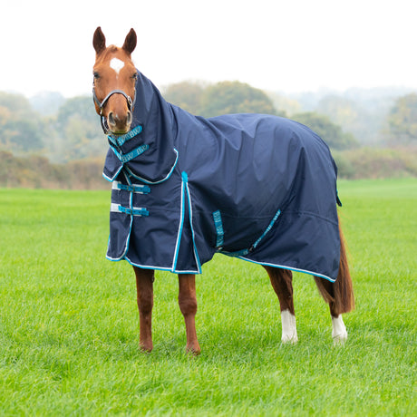Bridleway Ontario Lite Combo Turnout Rug #colour_navy