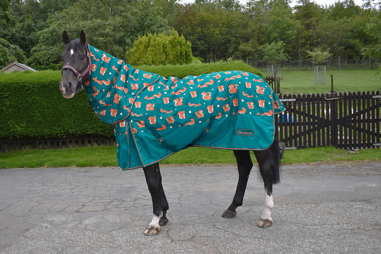 Whitaker Knutsford 150G Combo Turnout Rug #colour_teal