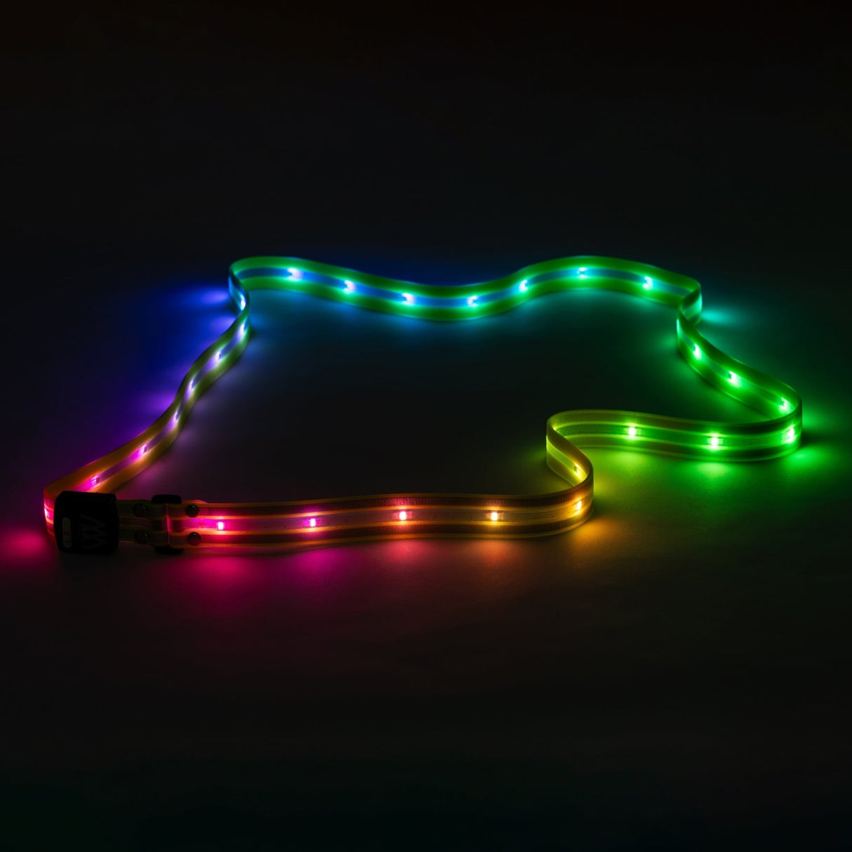 Woof Wear LED Sash