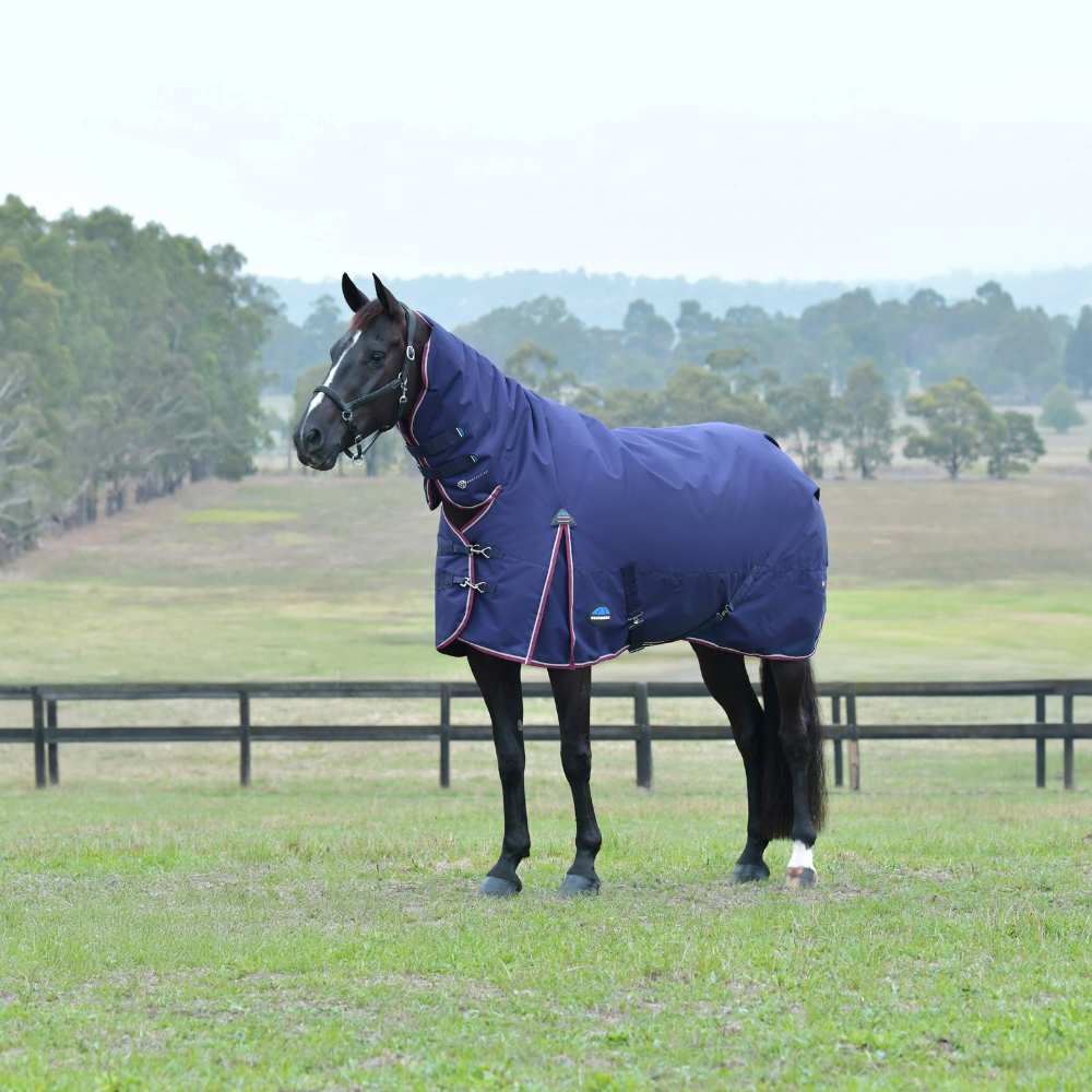 Weatherbeeta Comfitec Essential 360G Combo Turnout #colour_navy-burgundy