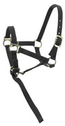 Norton Foal Headcollar Lead Rope