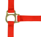 Norton Foal Headcollar Lead Rope