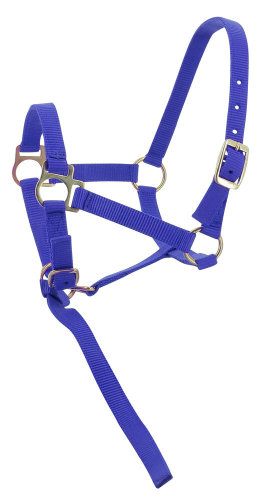Norton Foal Headcollar Lead Rope