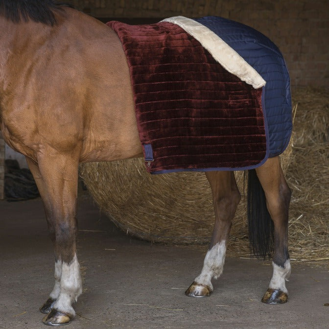 Equitheme Teddy Synthetic Sheepskin Lined Stable Rug #colour_navy-ecru