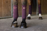 Equitheme Oslo Polo Bandages #colour_burgundy