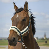 Equitheme Nylon Mouton Headcollar #colour_green-white