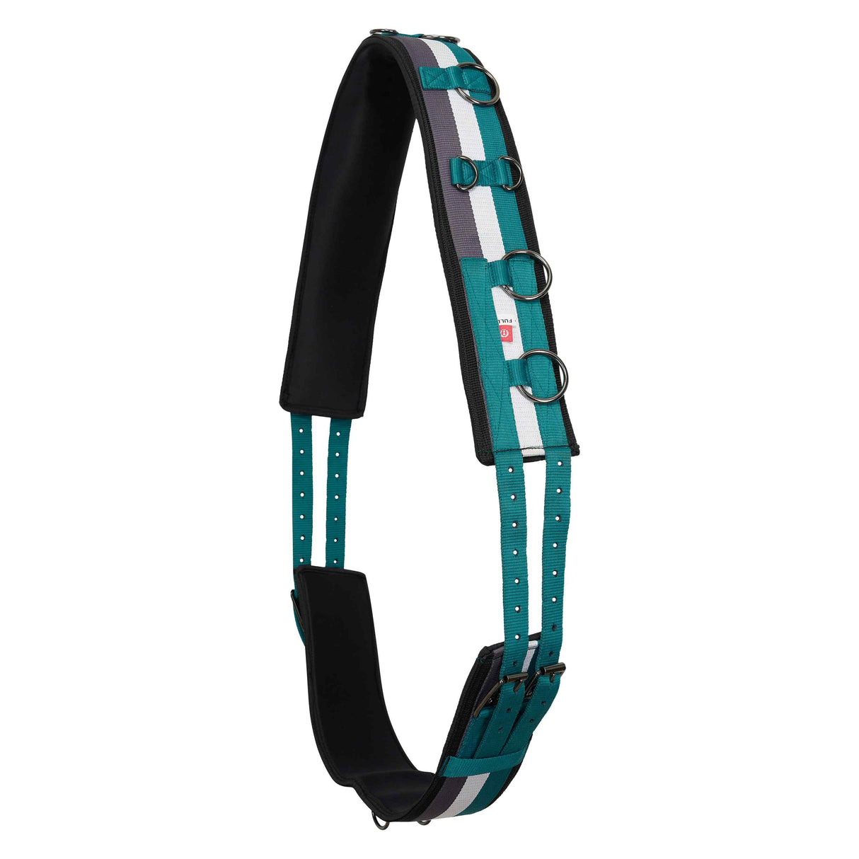 Imperial Riding Deluxe Nylon Lunging Girth #colour_ocean