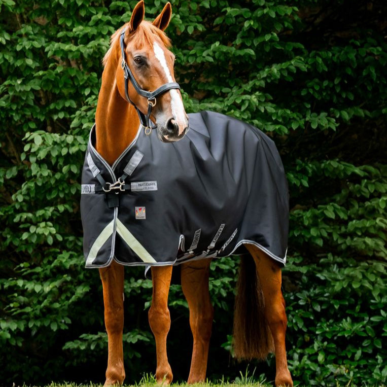 Horseware Ireland Rambo 1680D 450g Vari-Layer Turnout Rug #colour_black-thunderstorm-grey-silver