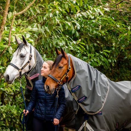 Horseware Ireland Amigo Hero 0g Turnout Rug