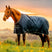 Horseware Ireland Amigo Ripstop 900D 100g Turnout Rug #colour_whitney-navy