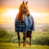 Horseware Ireland Amigo Ripstop 900D 100g Turnout Rug #colour_whitney-navy