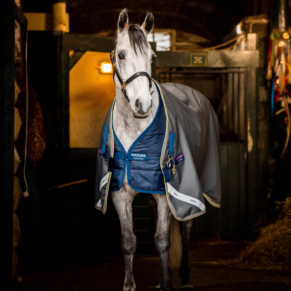 Horseware Ireland Amigo Bravo 12 Plus Bundle V-Front 0g Turnout Rug #colour_dark-shadow-navy-rose