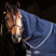 Horseware Ireland Rhino 200g Stable Hood #colour_navy-titanium-grey-classic-blue