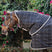 Horseware Ireland Rhino 200g Stable Hood #colour_black-grey-white-check-grey