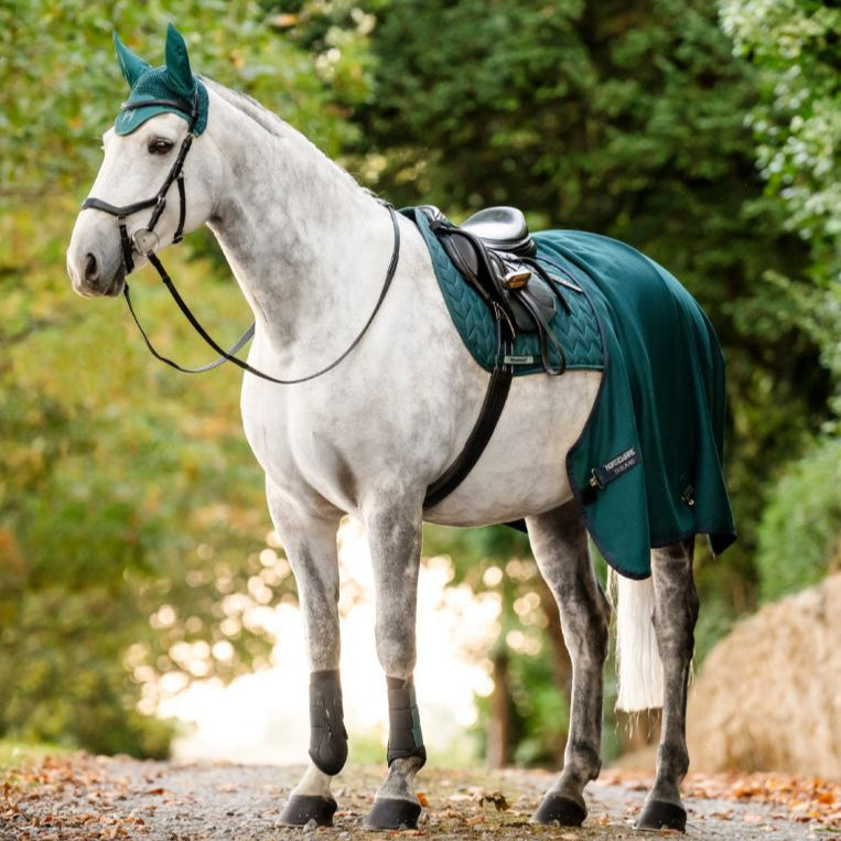 Horseware Ireland Amigo Jersey Cooler #colour_dynasty green-navy-silver