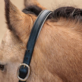 Imperial Riding Rainbow Headcollar #colour_latte