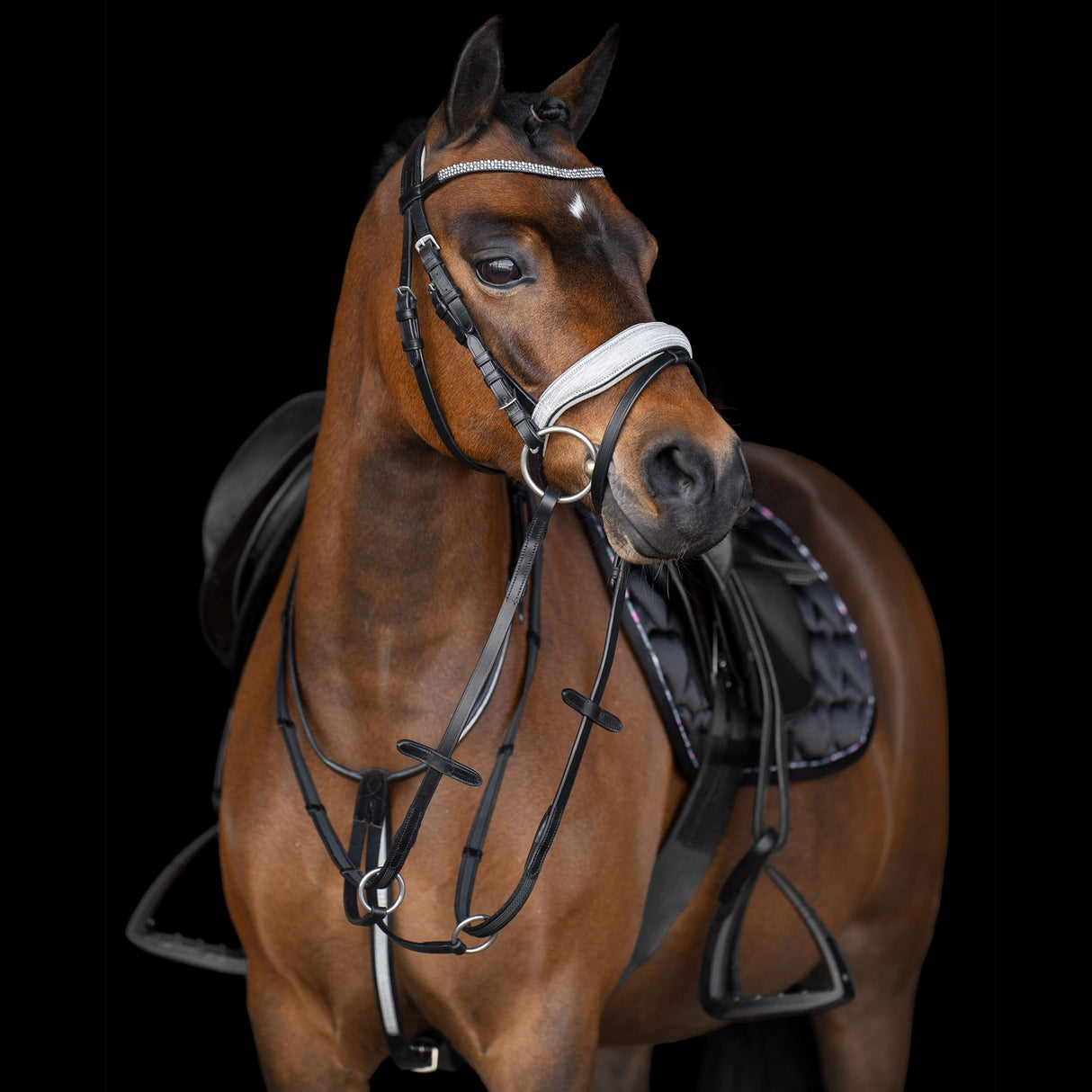 Imperial Riding Rainbow Martingale #colour_latte