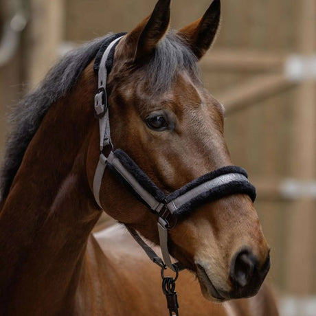 Covalliero Fleece Head Collar #colour_steel-grey