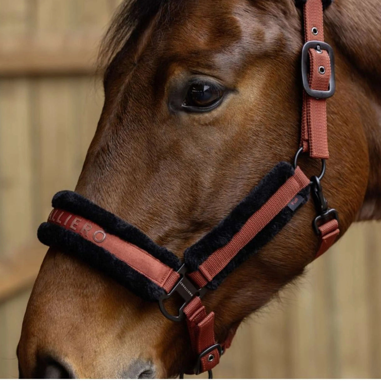 Covalliero Fleece Head Collar #colour_rust