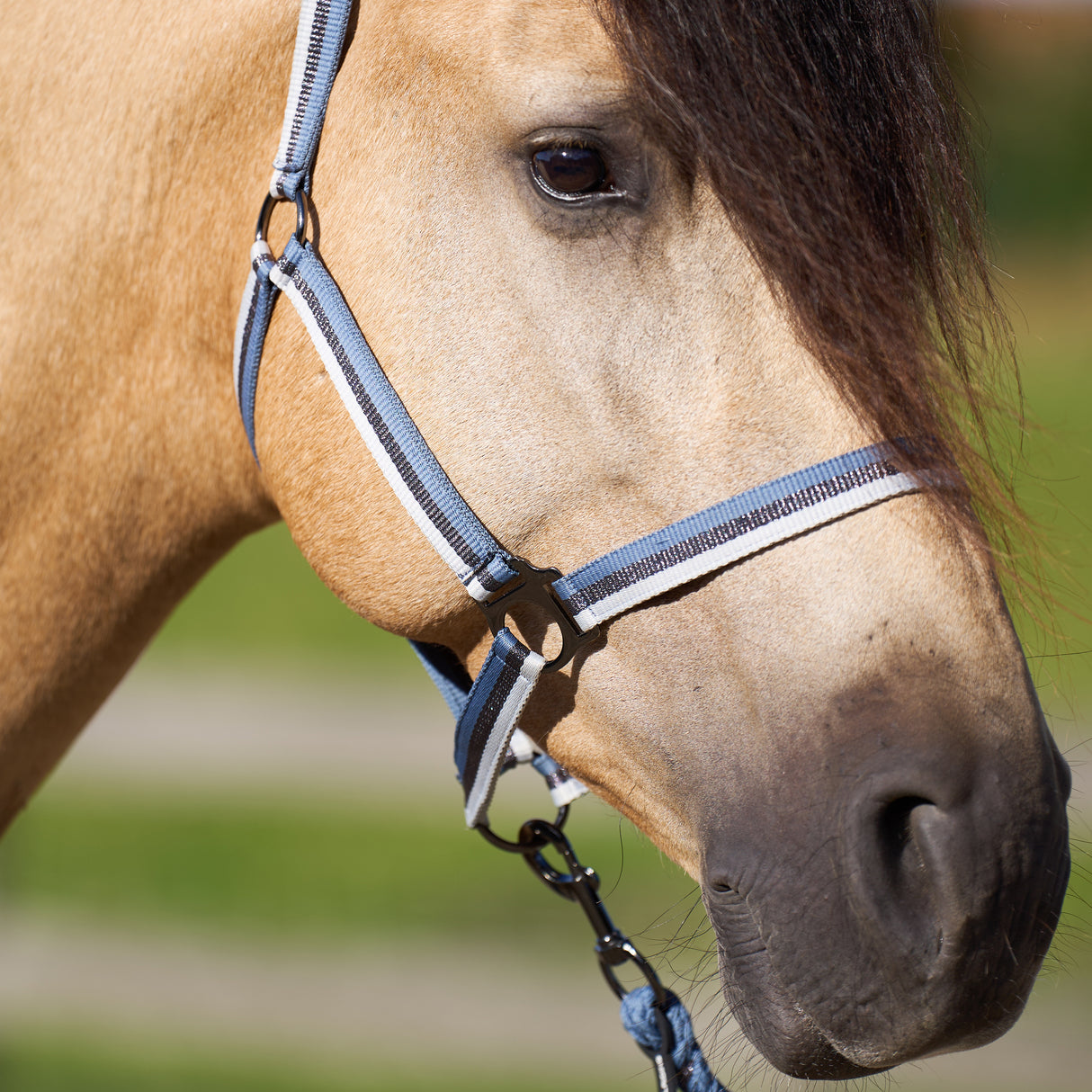 Imperial Riding Nylon Economic Headcollar #colour_moonstone