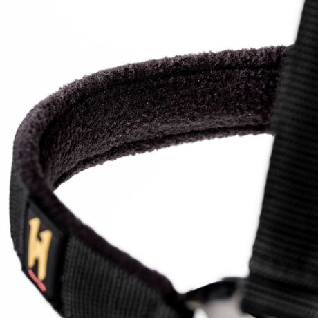 Horseware Ireland Newmarket Headcollar & Leadrope #colour_whitney-gold
