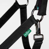 Horseware Ireland Newmarket Headcollar & Leadrope #colour_whitney-gold