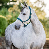 Horseware Ireland Headcollar & Leadrope #colour_dynasty-green