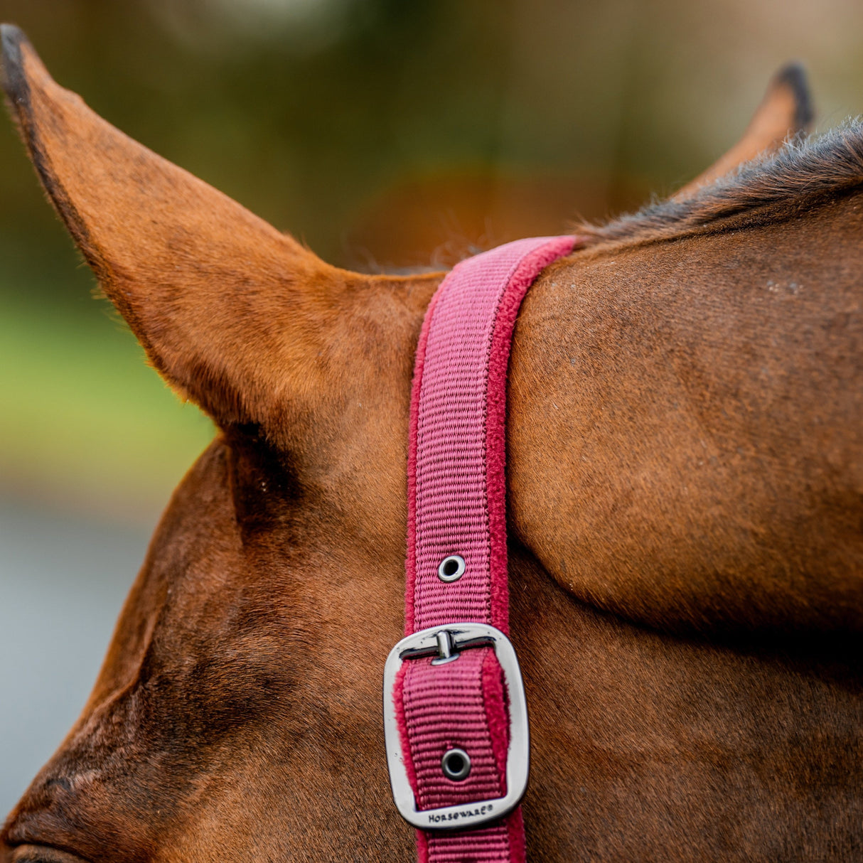 Horseware Ireland Amigo Headcollar & Leadrope Set #colour_mulberry