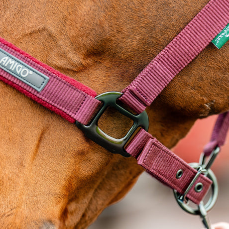 Horseware Ireland Amigo Headcollar & Leadrope Set #colour_mulberry