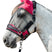 HKM Fly Protection Mask -Premium- #colour_magenta